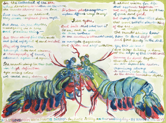 "The Mantis Shrimp Are in Love," PRINT of Original Watercolor Painting